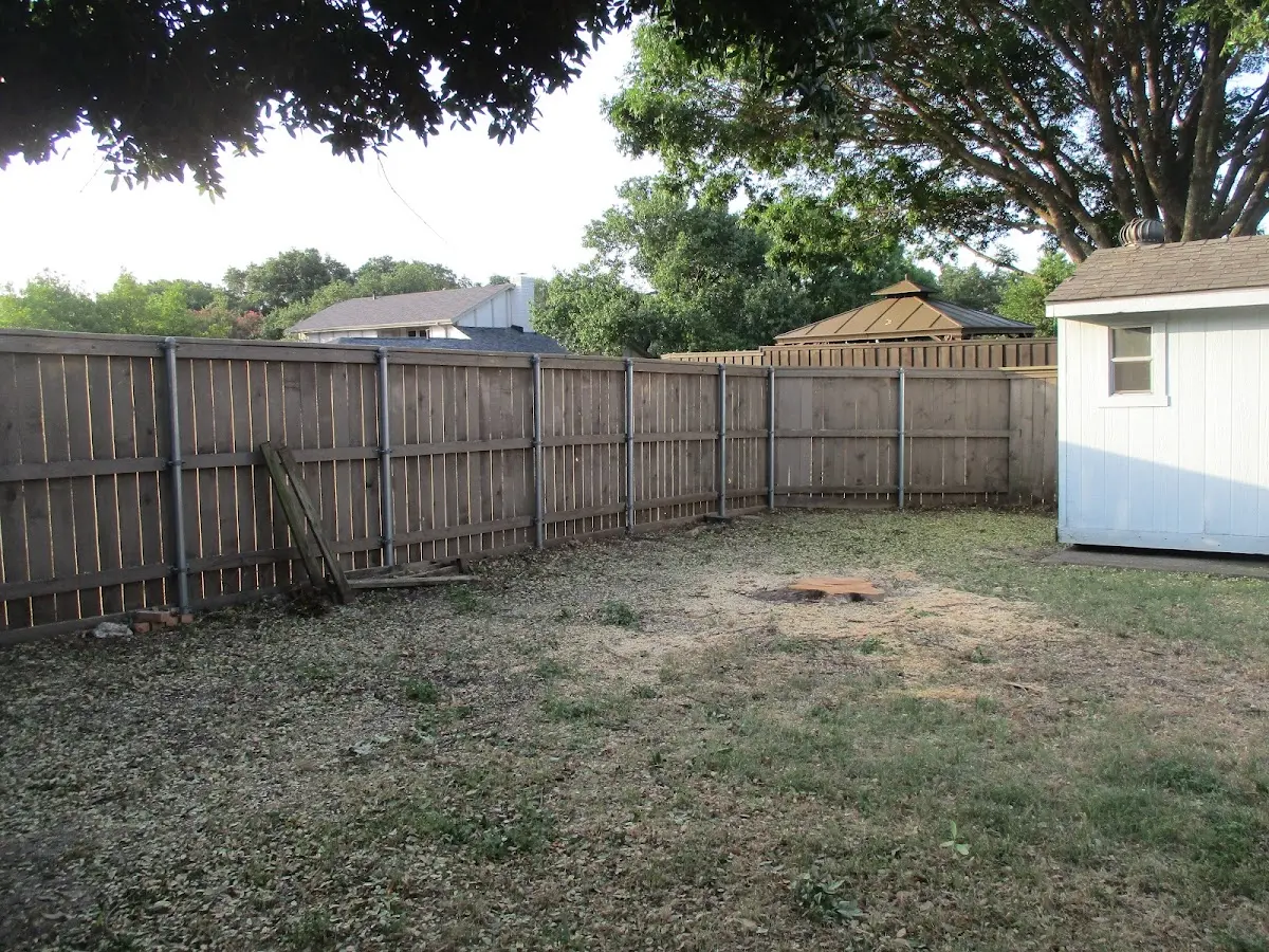 Cleared yard after professional tree removal in Taylors Falls